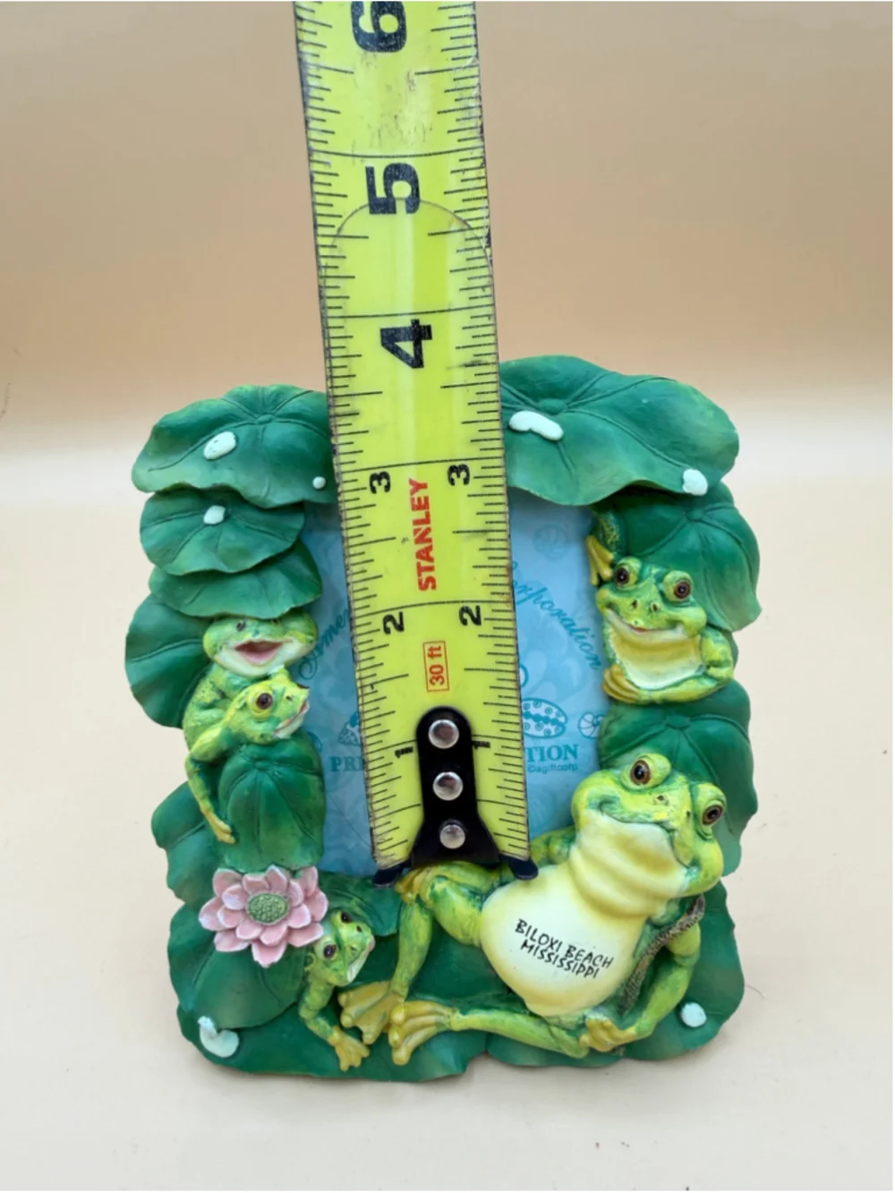 American Gift Corp Prestige Collection Biloxi Beach Frog Lily Pad Photo Frame